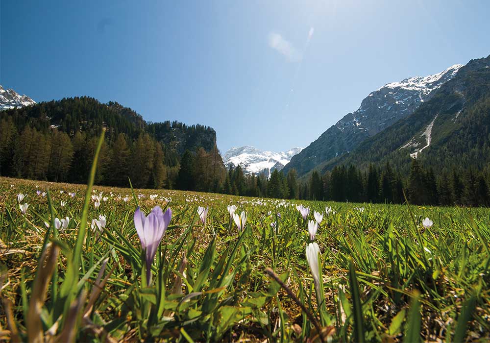 Unterkunft Pustertal Kronplatz Hotel Pension